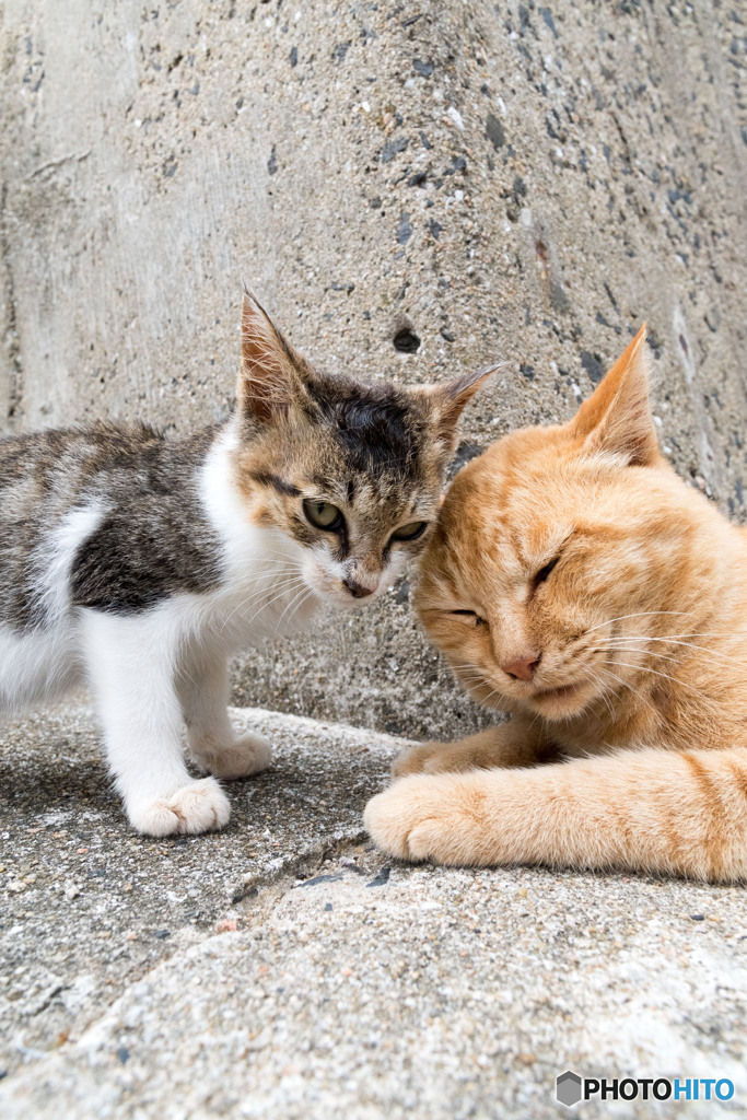 グリグリ、コミュニケーション