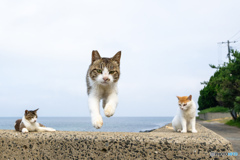 よいしょっと