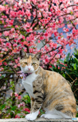 春の香に包まれて