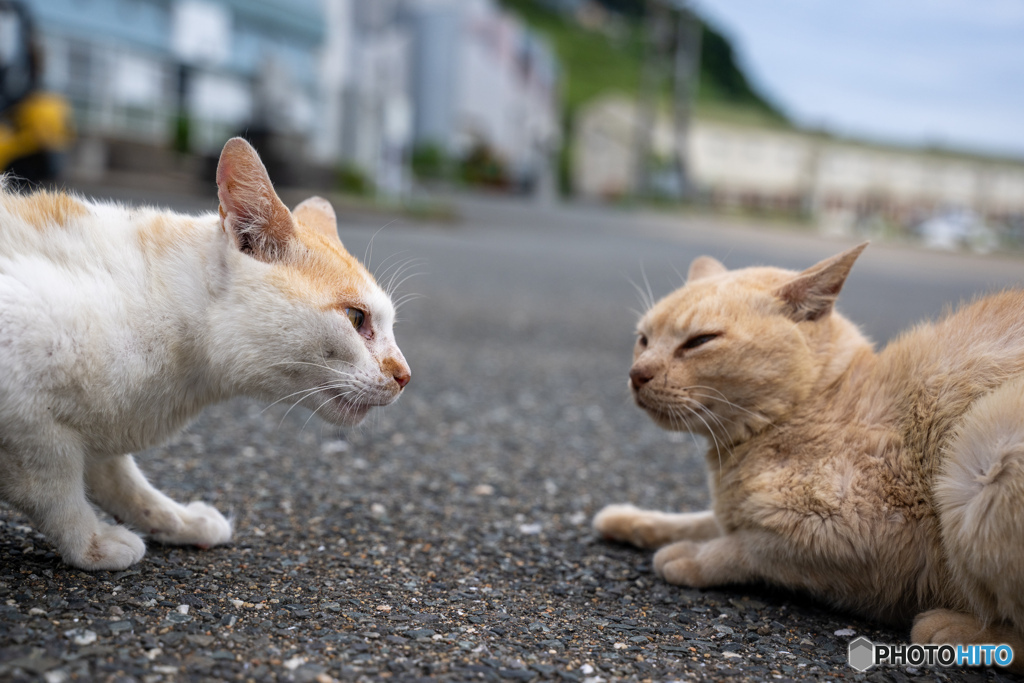 お怒りのご様子