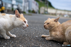 お怒りのご様子