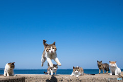 隊長さん。ありがとうね。