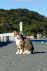 小さなお母さん