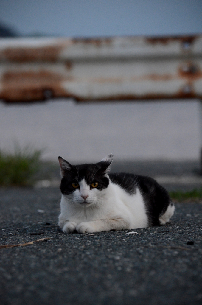 DSC_0761