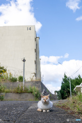 アゴたぷたぷ アゴたぷたぷ