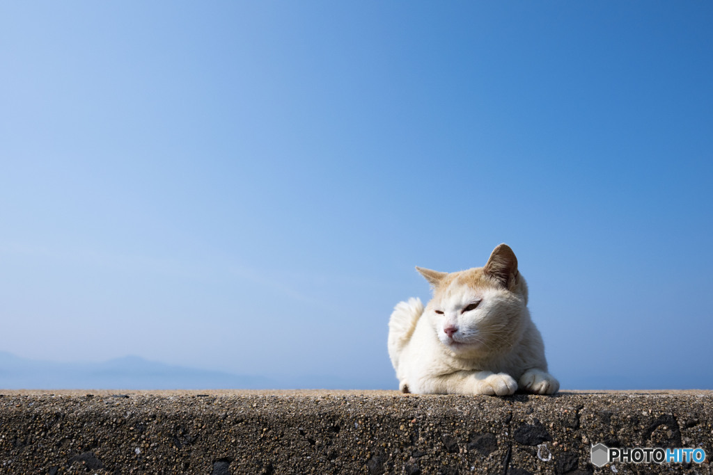 ちょいマブ