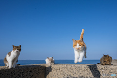 よいしょっと