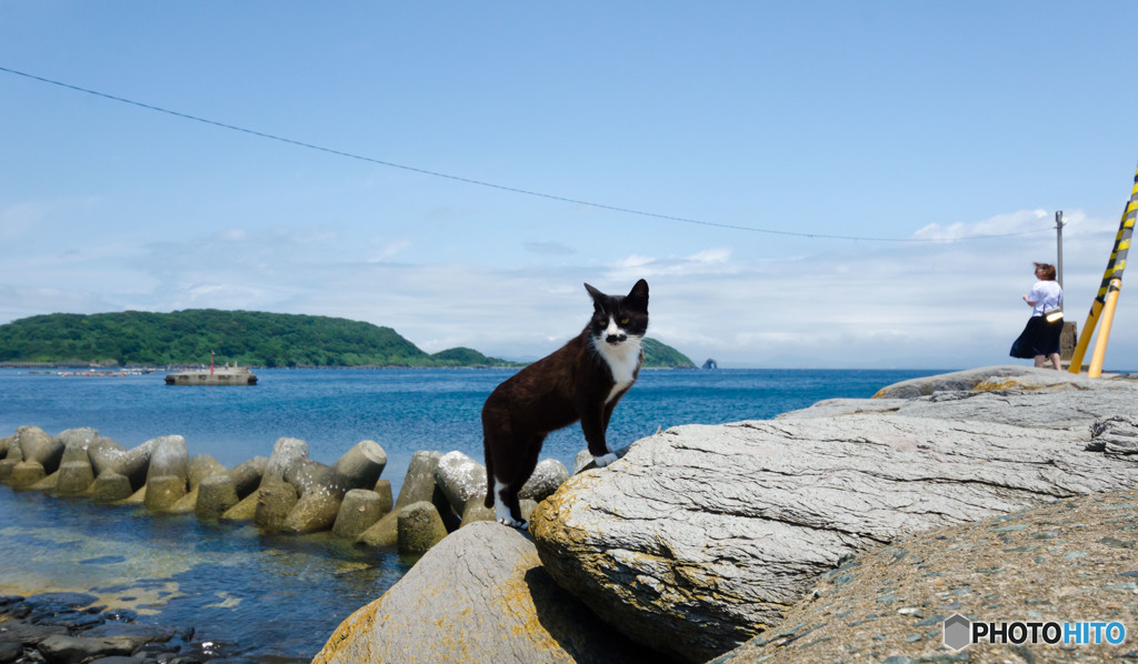 海辺のチャプくん