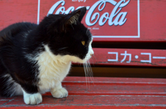 赤ベンチの上で