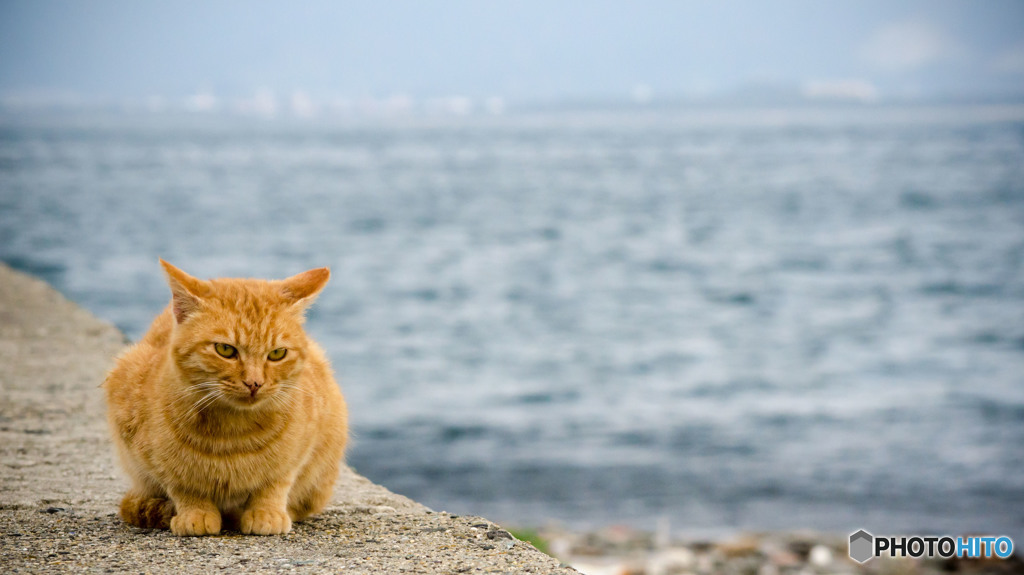 俺の海
