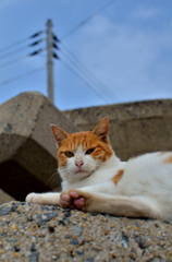 お久しぶりねぇ