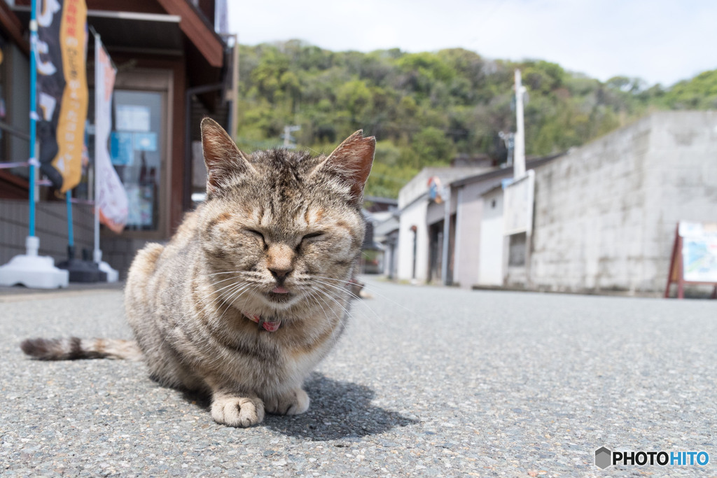 キーちゃん