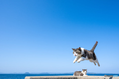ひとっとび