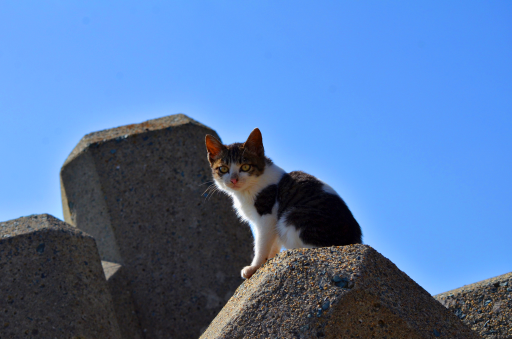 DSC_8050
