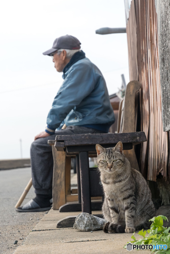 おじいちゃんとネコさん