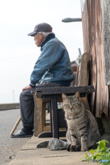 おじいちゃんとネコさん