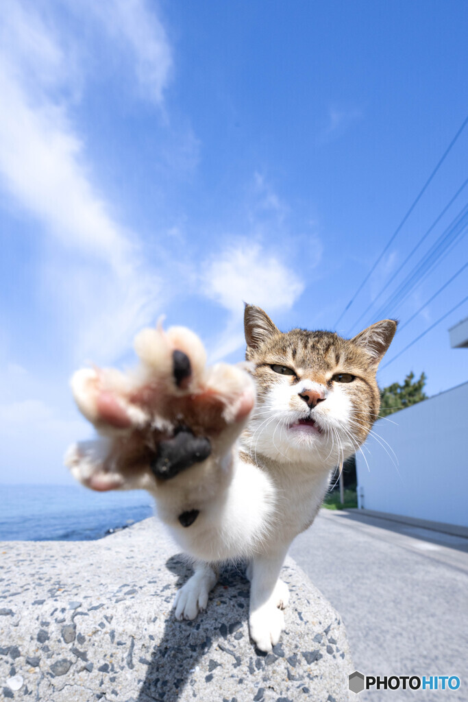 は～～っ！！