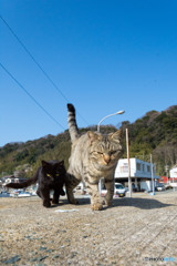 ユミちゃんと黒おチビさん