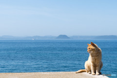 春うにゃにゃ2021