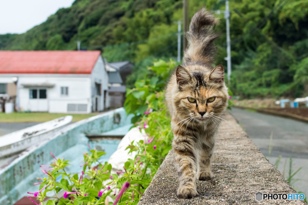 おはよ～です