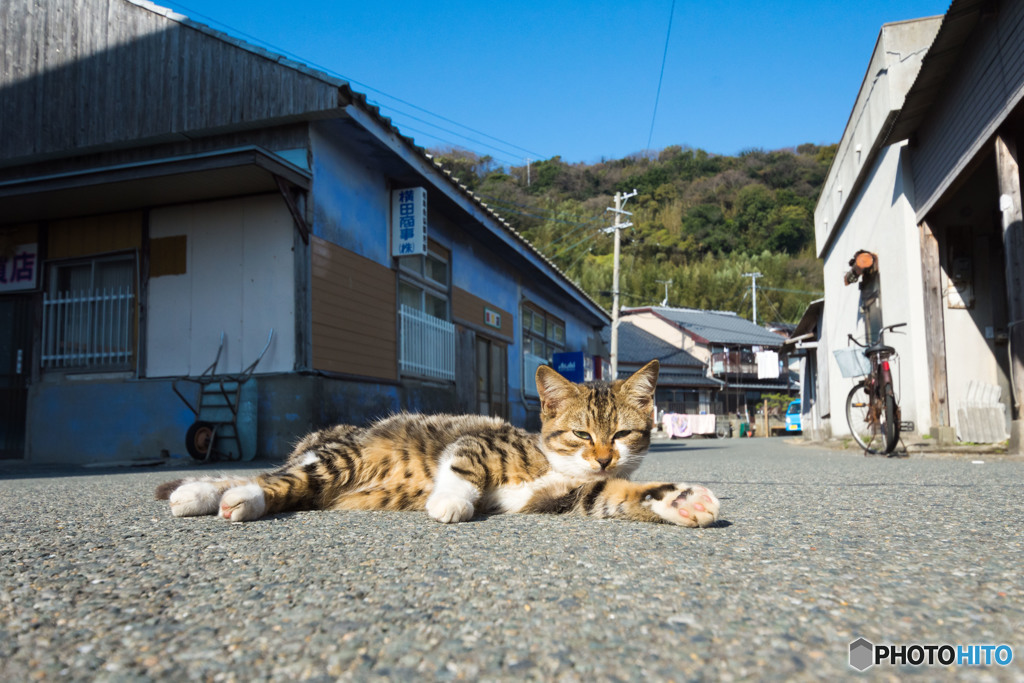 小春日和の穏やかな日