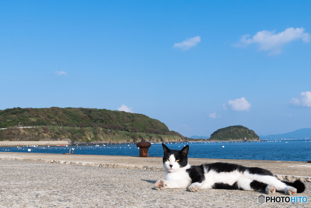 秋の日。いい一日。