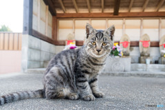 お地蔵さまと（1）