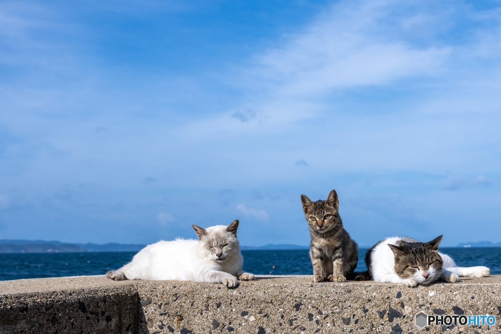 くつろぎ海岸（2）