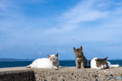くつろぎ海岸（2）