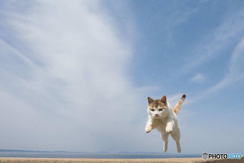 行くよ～～