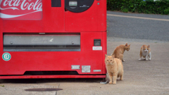 お見送りですよ