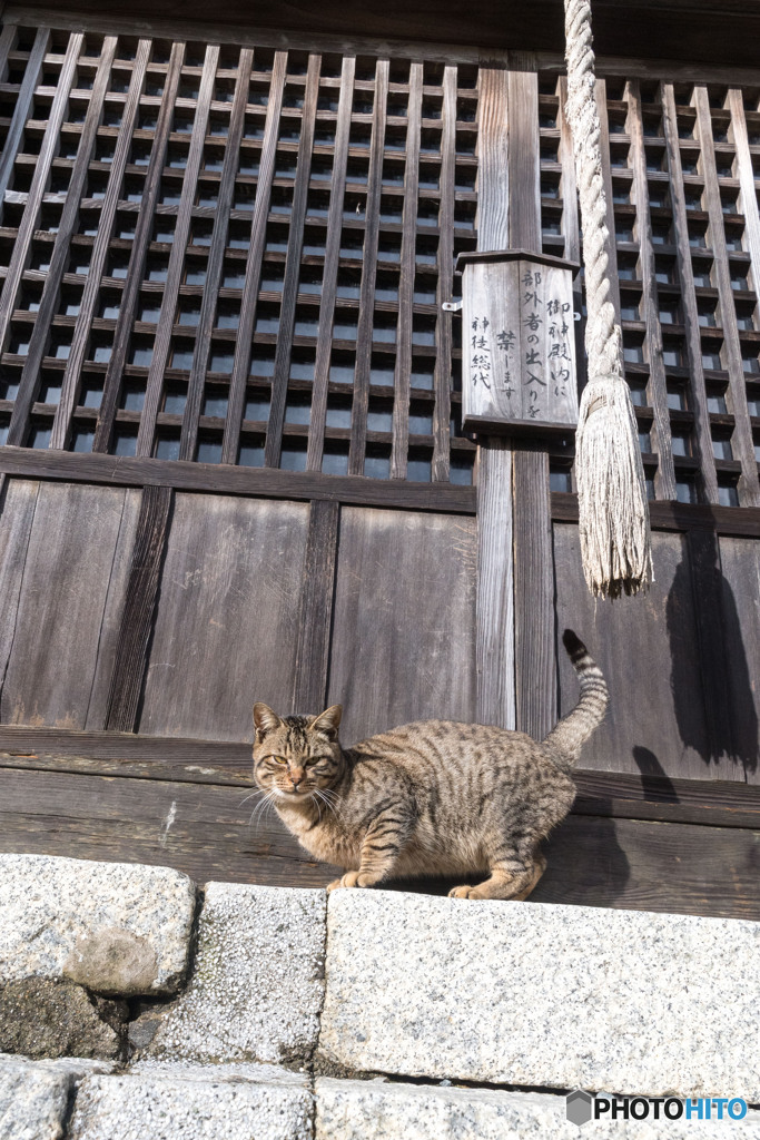 おまいりにいらっしゃい