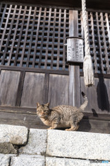 おまいりにいらっしゃい