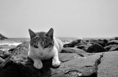 うーん・・・暑いねぇ