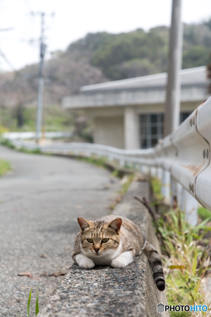 ほへへ