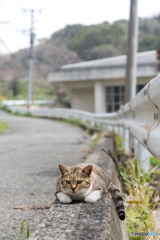 ほへへ