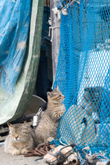 おチビさんとお母さん（3）