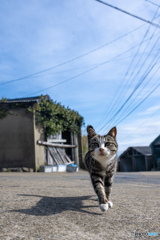 ほいほいっと調子よく
