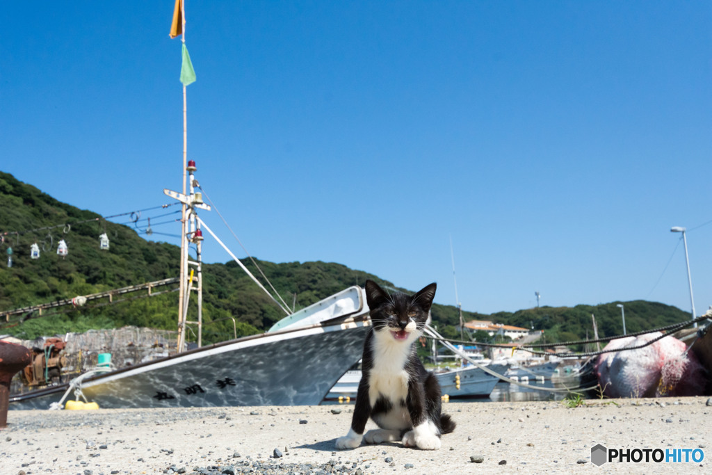 爽快お天気で気分上々