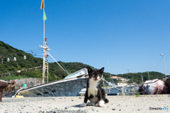 爽快お天気で気分上々