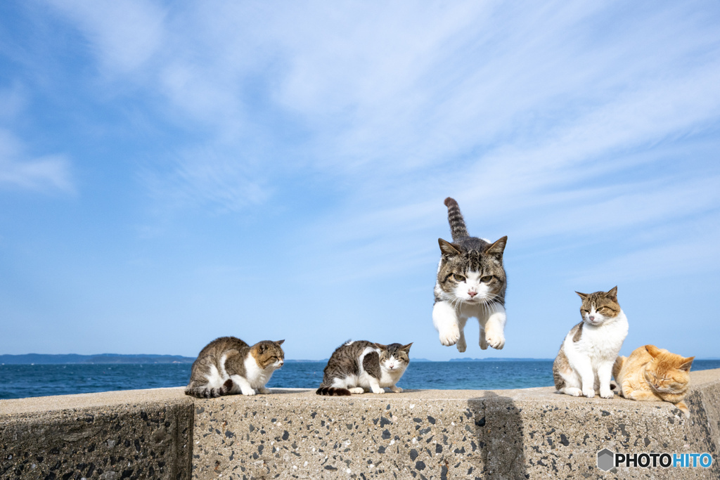 まっしぐら