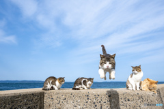 まっしぐら
