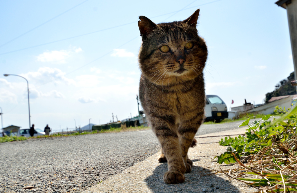 強そうなヤツがやってきた