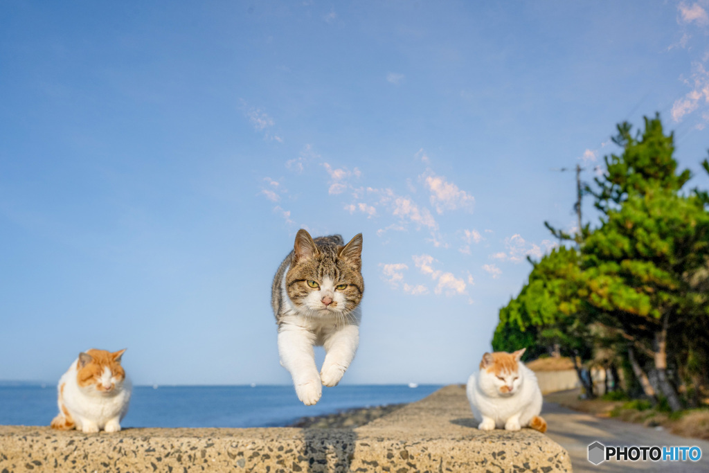 迷いなく