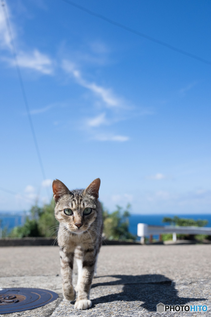 青空散歩（1）