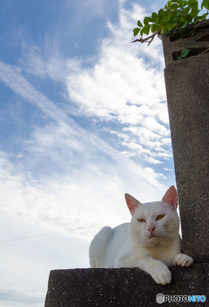 カオルくんと秋の空