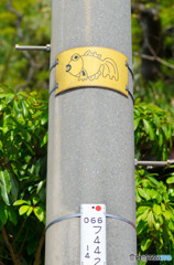 お魚の絵の掲示物 お魚の絵の掲示物