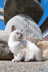祈願成就