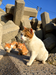 兄貴と子分たち