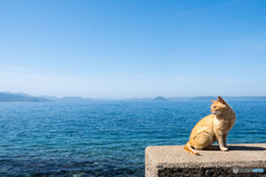 春うにゃにゃ〜